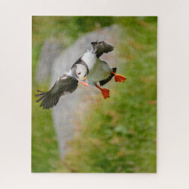 Puzzle Vuelo del pájaro del frailecillo atlántico con las