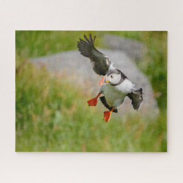 Puzzle Vuelo del pájaro del frailecillo atlántico con las