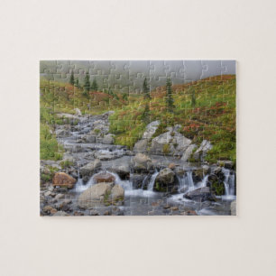 Puzzle WA, Parque Nacional Mt. Rainier, arroyo Edith