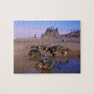 Puzzle WA, Parque Nacional Olympic, Segunda Playa con cha