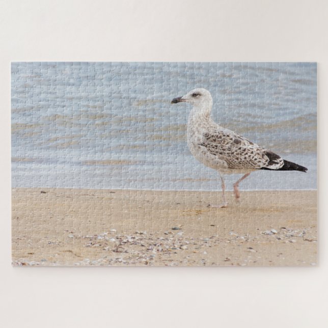 Puzzle Walking gull (Horizontal)