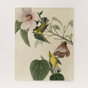 Puzzle Warbler amarillo de ala azul - Aves Audubon Améric