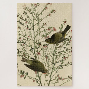 Puzzle Warbler coronado por naranjas, los pájaros de Amér