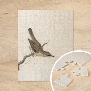Puzzle Warbler Reed Wren   William Lewin