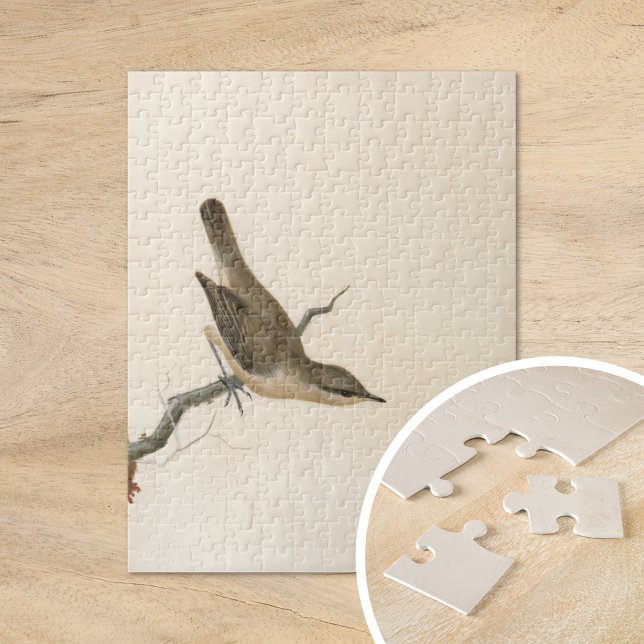 Puzzle Warbler Reed Wren | William Lewin (Subido por el creador)