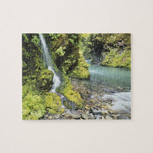 Puzzle Washington, Parque Nacional Olímpico, Estacional