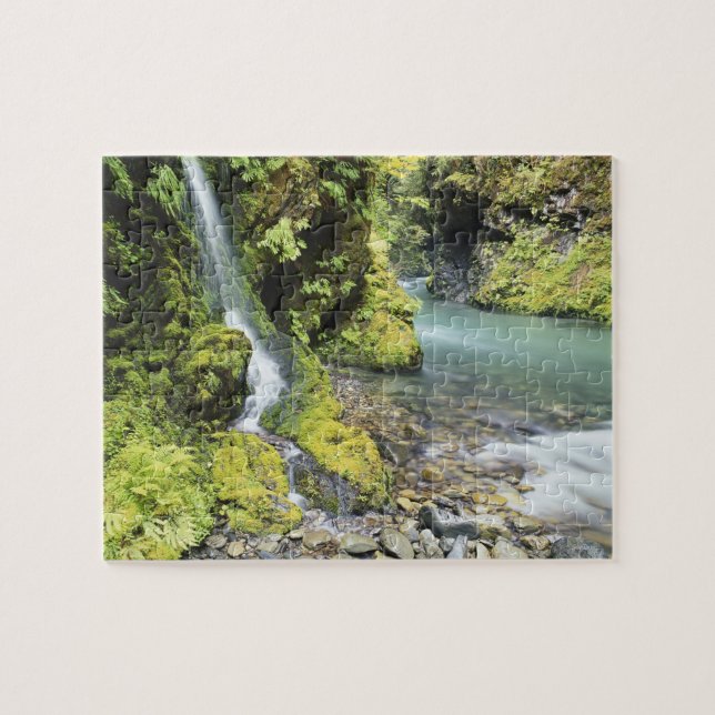 Puzzle Washington, Parque Nacional Olímpico, Estacional (Horizontal)