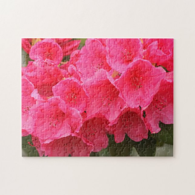 Puzzle Washington, Seattle, Puget Sound, Discovery Park (Horizontal)