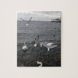 Puzzle Water Birds on Lake Ontario