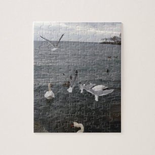 Puzzle Water Birds on Lake Ontario