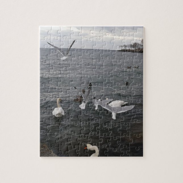 Puzzle Water Birds on Lake Ontario (Vertical)