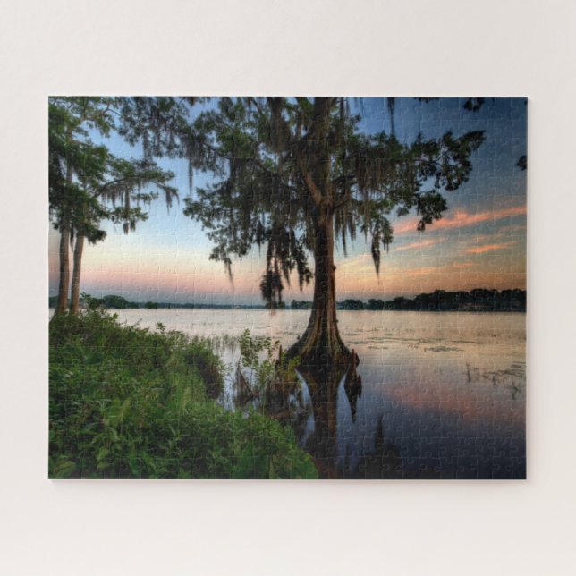 Puzzle Water | Kraft Azalea Park Maitland Florida (Horizontal)