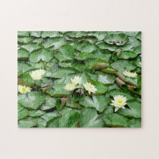 Puzzle Water Lillies