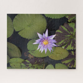 Puzzle Water Lily