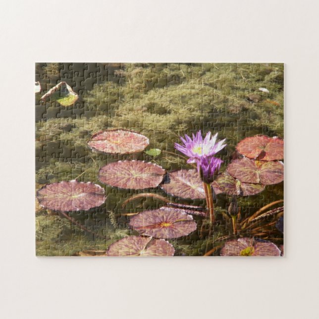 Puzzle Watercolor Waterlily (Horizontal)