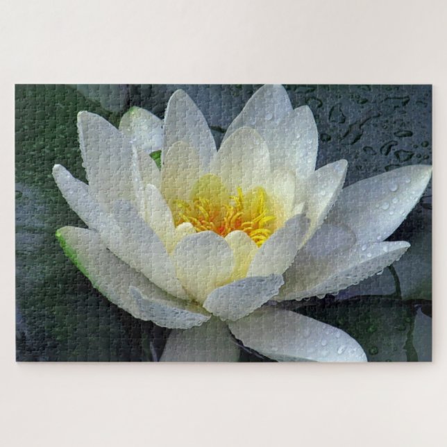 Puzzle Waterlily (Horizontal)
