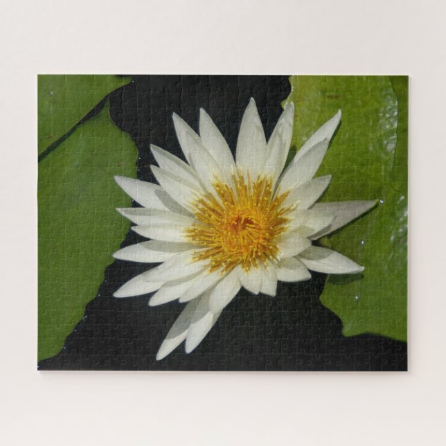 Puzzle Waterlismo blanco (Horizontal)