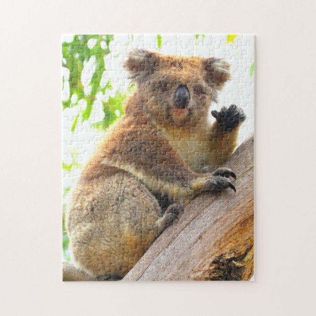 Puzzle WAVING KOALA 11x14 PULGADAS (Vertical)