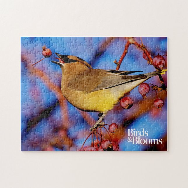 Puzzle Waxwing de cedro (Horizontal)