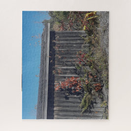 Puzzle Weathered Shed with Encroaching Green