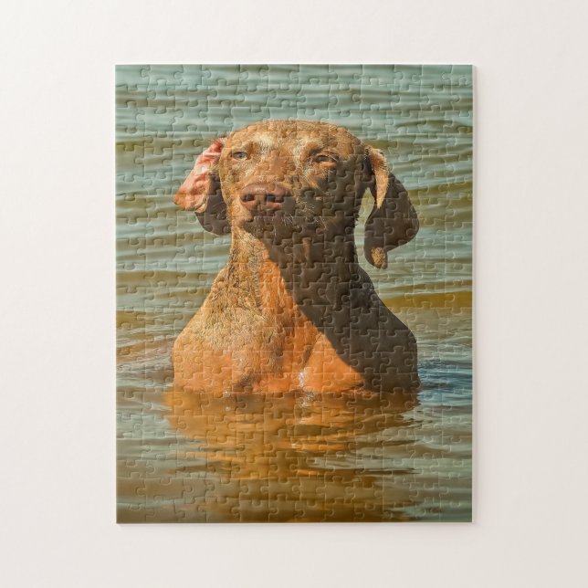 Puzzle Weimaraner Dog Jigsaws. (Vertical)