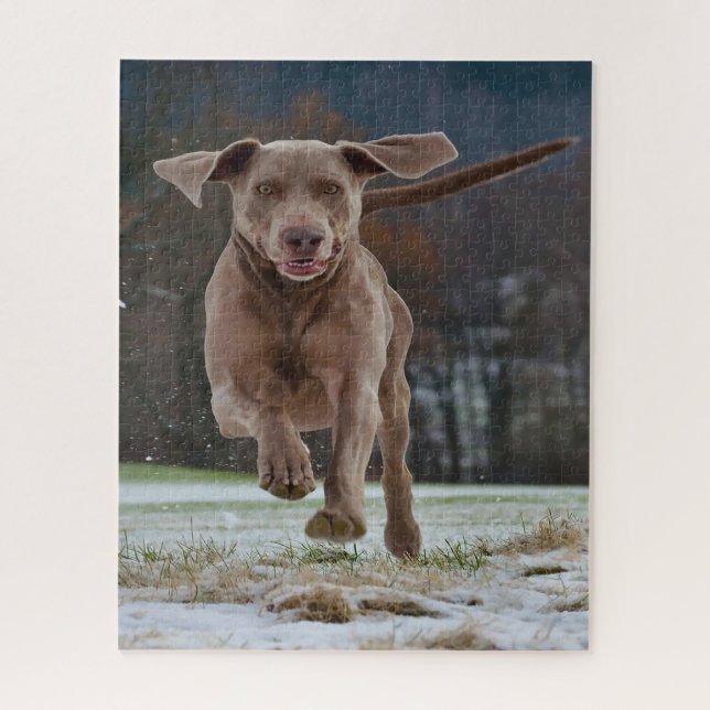 Puzzle Weimaraner Dog Jigsaws. (Vertical)