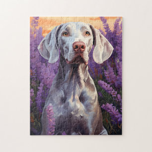 Puzzle Weimaraner en el campo Lavender
