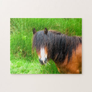 PUZZLE WELSH MOUNTAIN PONY