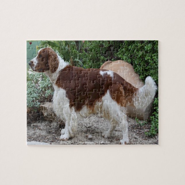 Puzzle Welsh Springer Nuestro Mascota familiar (Horizontal)