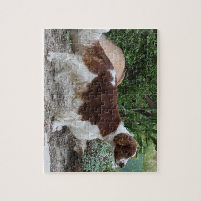 Puzzle Welsh_Springer_Spaniel_full.png (Vertical)
