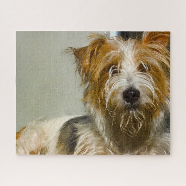 Puzzle Westie Dogs Jigsaws. (Horizontal)