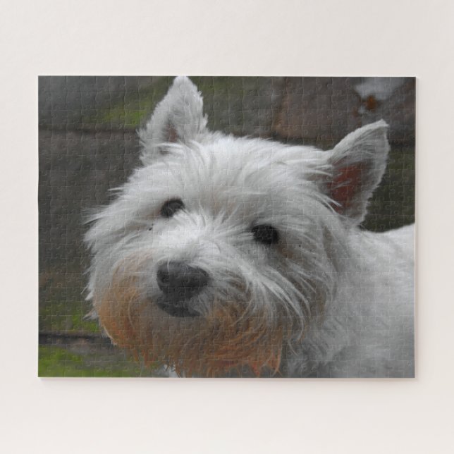 Puzzle Westie Dogs Jigsaws. (Horizontal)