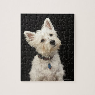 Puzzle Westie (terrier del oeste de la montaña) con el