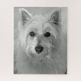 Puzzle Westie (West Highland White Terrier) Perro Jigsaw