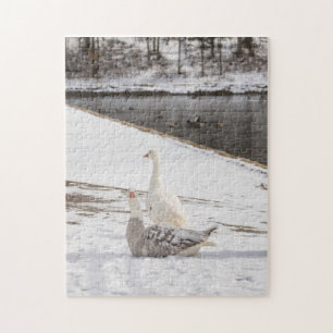 Puzzle Whats Up Goose