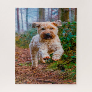 Puzzle Wheaten Terrier Dog Jigsaws.