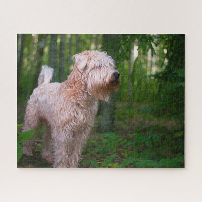 Puzzle Wheaten Terrier Dog Jigsaws. (Horizontal)