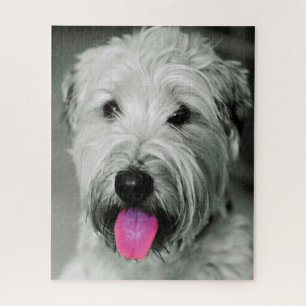 Puzzle Wheaten Terrier Dog Jigsaws.