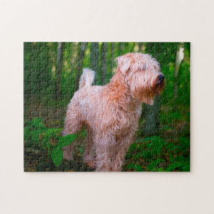 Puzzle Wheaten Terrier Dog Jigsaws.