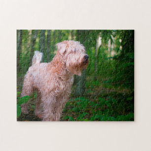 Puzzle Wheaten Terrier Dog Jigsaws.