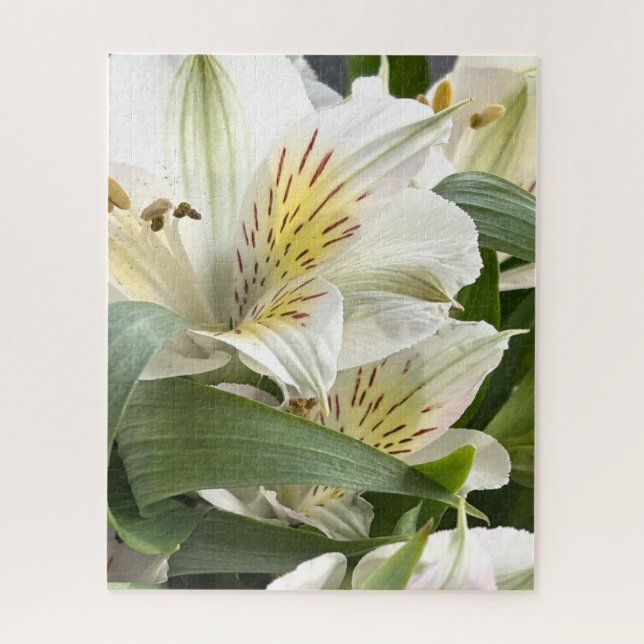Puzzle White Alstroemeria Flowers Close-Up Photograph (Vertical)