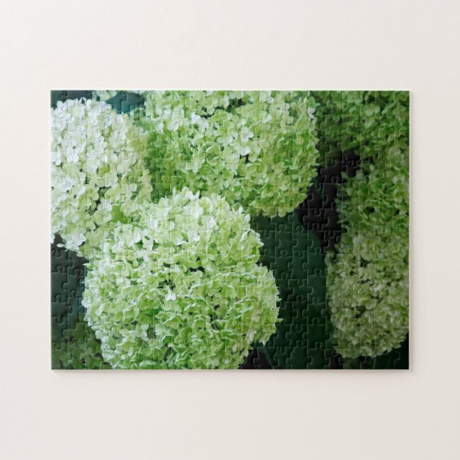 Puzzle White Annabelle Hydrangeas (Horizontal)
