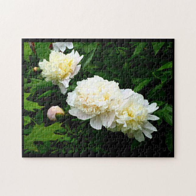 Puzzle White Peony Trio (Horizontal)