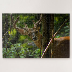 Puzzle White Tail Buck