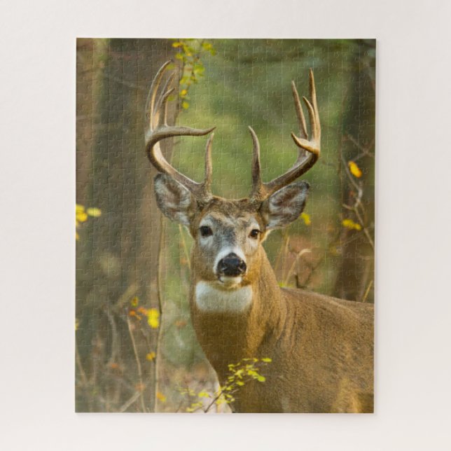 Puzzle Whitetail Deer Buck | Pescado blanco, Montana (Vertical)