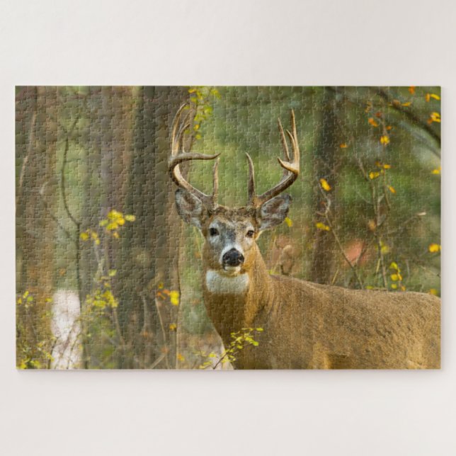 Puzzle Whitetail Deer Buck | Pescado blanco, Montana (Horizontal)