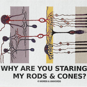 Puzzle Why Are You Staring At My Rods & Cones?