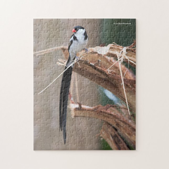 Puzzle Whydah Songbird (Vertical)