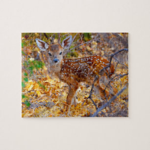 Puzzle Wild Deer Big Bend Texas