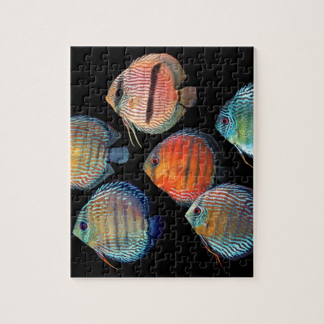 Puzzle Wild Discus (Vertical)